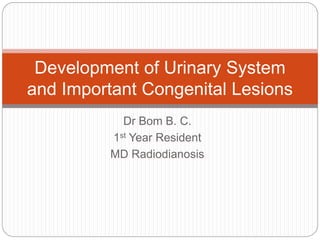 Dr Bom B. C.
1st Year Resident
MD Radiodianosis
Development of Urinary System
and Important Congenital Lesions
 