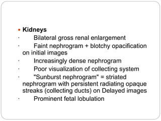 Embryology of genitourinary system | PPT