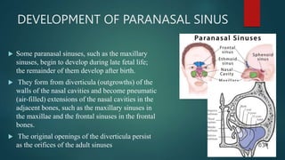 Frontal Sinus Development Embryology of head and neck - arun omfspptx | PPTX