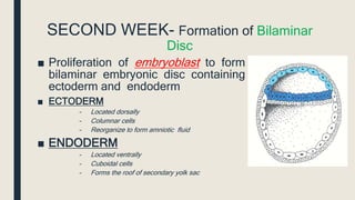 Embryology of head and neck | PPTX