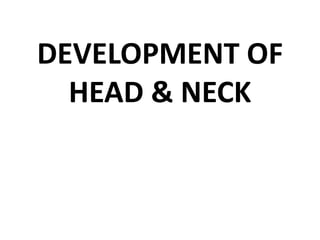 DEVELOPMENT OF
HEAD & NECK
 