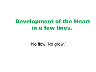 Development of the Heart
in a few lines.
“No flow, No grow.”
 