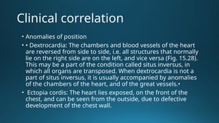 Transposed Organs Comprehensive Embryology of Heart Development and Structure | PPTX