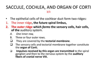 embryology of inner ear.pptx