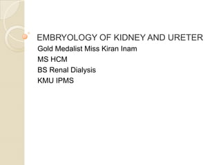 EMBRYOLOGY OF KIDNEY AND URETER
Gold Medalist Miss Kiran Inam
MS HCM
BS Renal Dialysis
KMU IPMS
 