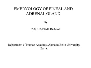 EMBRYOLOGY OF PINEALAND
ADRENAL GLAND
Department of Human Anatomy, Ahmadu Bello University,
Zaria.
By
ZACHARIAH Richard
 