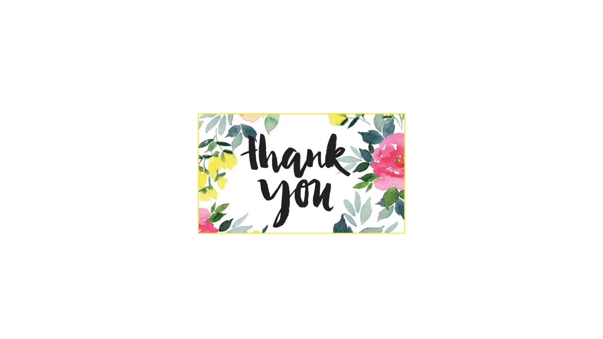 Embryology of Skin - Epidermal Development , Development of the specialized cells of the epidermis