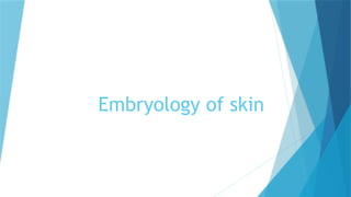 Comprehensive Embryology of Human Skin Development and Structure | PPTX