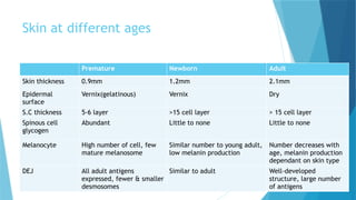 Comprehensive Embryology of Human Skin Development and Structure | PPTX