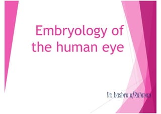 embryologyofthehumaneye-140917000616-phpapp02_231227_235233.pptx
