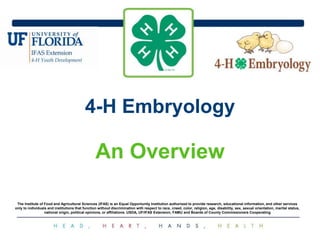 4-H Embryology
An Overview
The Institute of Food and Agricultural Sciences (IFAS) is an Equal Opportunity Institution authorized to provide research, educational information, and other services
only to individuals and institutions that function without discrimination with respect to race, creed, color, religion, age, disability, sex, sexual orientation, marital status,
national origin, political opinions, or affiliations. USDA, UF/IFAS Extension, FAMU and Boards of County Commissioners Cooperating
 
