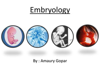 Embryology By : AmauryGopar 