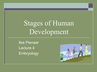 Stages of Human
Development
Ilse Pienaar
Lecture 4
Embryology
 
