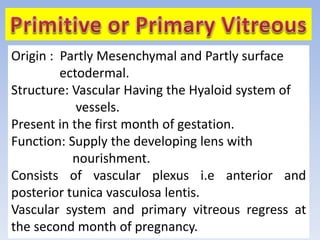 Origin : Partly Mesenchymal and Partly surface
ectodermal.
Structure: Vascular Having the Hyaloid system of
vessels.
Present in the first month of gestation.
Function: Supply the developing lens with
nourishment.
Consists of vascular plexus i.e anterior and
posterior tunica vasculosa lentis.
Vascular system and primary vitreous regress at
the second month of pregnancy.
 