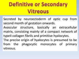 Secreted by neuroectoderm of optic cup from
second month of gestation onwards.
Avascular structure, basically an extracellular
matrix, consisting mainly of a compact network of
typeII collagen fibrils and primitive hyalocytes.
The precise origin of hyalocytes is presumed to be
from the phagocytic monocytes of primary
vitreous.
 