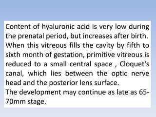 Content of hyaluronic acid is very low during
the prenatal period, but increases after birth.
When this vitreous fills the cavity by fifth to
sixth month of gestation, primitive vitreous is
reduced to a small central space , Cloquet’s
canal, which lies between the optic nerve
head and the posterior lens surface.
The development may continue as late as 65-
70mm stage.
 