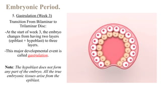 EMBRYOLOGICAL DEVELOPMENT OF THE HUMAN BODY | PPTX