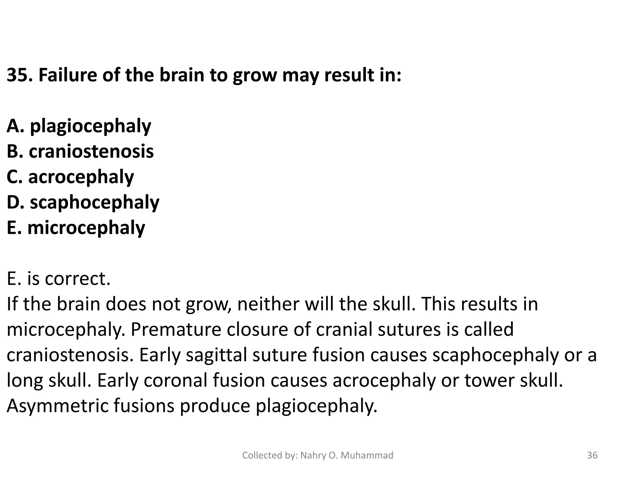 EMBRYOLOGY PRACTICE EXAM QUESTIONS SEETHESOLUTIONS PDF visual data 3