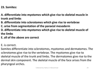 23. Somites:
A. differentiate into myotomes which give rise to skeletal muscle in
trunk and limbs
B. differentiate into sclerotomes which give rise to vertebrae
C. arise from segmentation of the paraxial mesoderm
D. differentiate into myotomes which give rise to skeletal muscle of
the limbs
E. all of the above are correct
E. is correct.
Somites differentiate into sclerotomes, myotomes and dermatomes. The
sclerotomes give rise to the vertebrae. The myotomes give rise to
skeletal muscle of the trunk and limbs. The dermatomes give rise to the
dermal skin component. The skeletal muscle of the face arises from the
pharyngeal arches.
Collected by: Nahry O. Muhammad 24
 