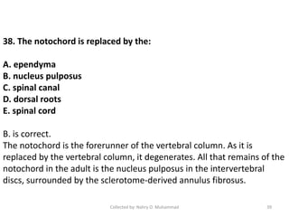 38. The notochord is replaced by the:
A. ependyma
B. nucleus pulposus
C. spinal canal
D. dorsal roots
E. spinal cord
B. is correct.
The notochord is the forerunner of the vertebral column. As it is
replaced by the vertebral column, it degenerates. All that remains of the
notochord in the adult is the nucleus pulposus in the intervertebral
discs, surrounded by the sclerotome-derived annulus fibrosus.
Collected by: Nahry O. Muhammad 39
 