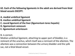 62. Each of the following ligaments in the adult are derived from fetal
blood vessels EXCEPT:
A. medial umbilical ligament
B. median umbilical ligament
C. round ligament of the liver (ligamentum teres hepatis)
D. ligamentum venosum
E. ligamentum arteriosum
B. is correct.
Median umbilical ligament, attaching to upper part of bladder, is a
remnant of the urachus, which itself was a remnant of the allantois. The
allantois was a connection between the urinary bladder and the yolk
sac, not a fetal blood vessel.
Collected by: Nahry O. Muhammad 63
 
