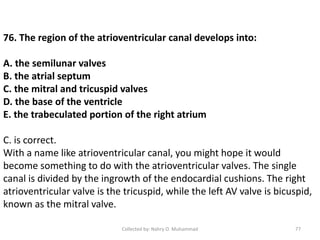 76. The region of the atrioventricular canal develops into:
A. the semilunar valves
B. the atrial septum
C. the mitral and tricuspid valves
D. the base of the ventricle
E. the trabeculated portion of the right atrium
C. is correct.
With a name like atrioventricular canal, you might hope it would
become something to do with the atrioventricular valves. The single
canal is divided by the ingrowth of the endocardial cushions. The right
atrioventricular valve is the tricuspid, while the left AV valve is bicuspid,
known as the mitral valve.
Collected by: Nahry O. Muhammad 77
 