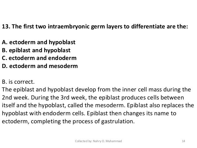 Germ layer formation results from the process of writing