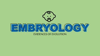 EMBRYOLOGYEVIDENCESOF EVOLUTION
 