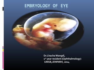 Dr.LhachaWangdi,
1st
year resident (Ophthalmology)
UMSB,JDWNRH, 2014
 