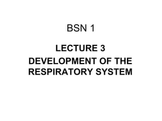 BSN 1
LECTURE 3
DEVELOPMENT OF THE
RESPIRATORY SYSTEM
 