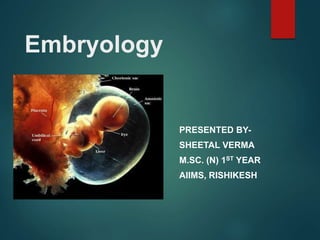 Embryology
PRESENTED BY-
SHEETAL VERMA
M.SC. (N) 1ST YEAR
AIIMS, RISHIKESH
 