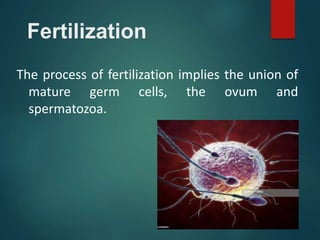 Fertilization
The process of fertilization implies the union of
mature germ cells, the ovum and
spermatozoa.
 