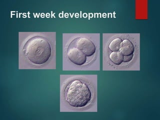 First week development
 