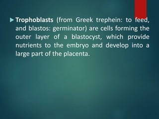  Trophoblasts (from Greek trephein: to feed,
and blastos: germinator) are cells forming the
outer layer of a blastocyst, which provide
nutrients to the embryo and develop into a
large part of the placenta.
 
