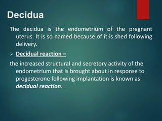 Decidua
The decidua is the endometrium of the pregnant
uterus. It is so named because of it is shed following
delivery.
 Decidual reaction –
the increased structural and secretory activity of the
endometrium that is brought about in response to
progesterone following implantation is known as
decidual reaction.
 