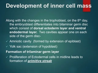 Development of inner cell mass
Along with the changes in the trophoblast, on the 8th day,
the embryoblast differentiates into bilaminar germ disc
which consist of dorsal ectoderm layer and ventral
endodermal layer. Two cavities appear one on each
side of the germ disc-
 Amniotic cavity (formed by extension of epiblast)
 Yolk sac (extension of hypoblast)
Formation of trilaminar germ layer
 Proliferation of Ectodermal cells in midline leads to
formation of primitive streak
 