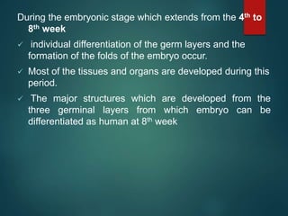 During the embryonic stage which extends from the 4th to
8th week
 individual differentiation of the germ layers and the
formation of the folds of the embryo occur.
 Most of the tissues and organs are developed during this
period.
 The major structures which are developed from the
three germinal layers from which embryo can be
differentiated as human at 8th week
 