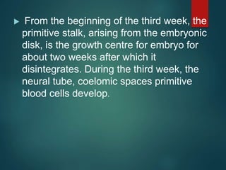  From the beginning of the third week, the
primitive stalk, arising from the embryonic
disk, is the growth centre for embryo for
about two weeks after which it
disintegrates. During the third week, the
neural tube, coelomic spaces primitive
blood cells develop.
 