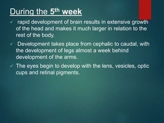 Embryology seminar | PPT
