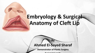 Embryology & Surgical
Anatomy of Cleft Lip
By
Ahmed El-Sayed Sharaf
Demonstrator of Plastic Surgery
 