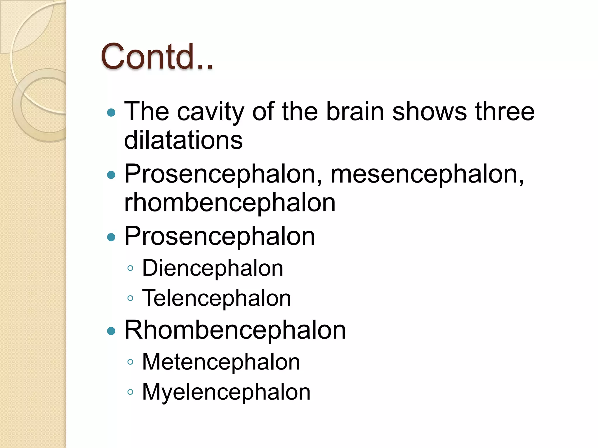 Contd..
 The cavity of the brain shows three
  dilatations
 Prosencephalon, mesencephalon,
  rhombencephalon
 Prosencephalon
    ◦ Diencephalon
    ◦ Telencephalon
   Rhombencephalon
    ◦ Metencephalon
    ◦ Myelencephalon
 