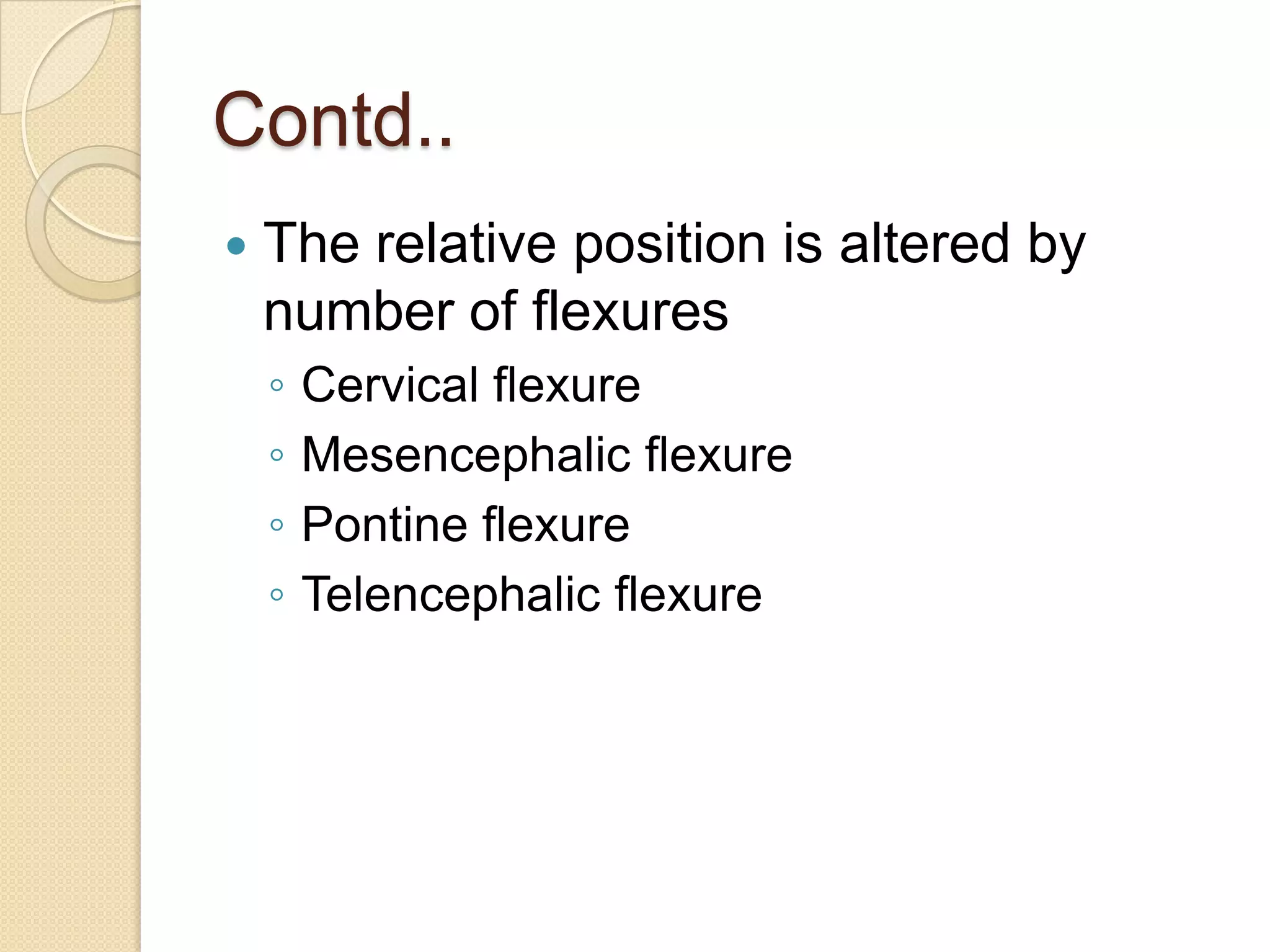 Contd..
   The relative position is altered by
    number of flexures
    ◦   Cervical flexure
    ◦   Mesencephalic flexure
    ◦   Pontine flexure
    ◦   Telencephalic flexure
 