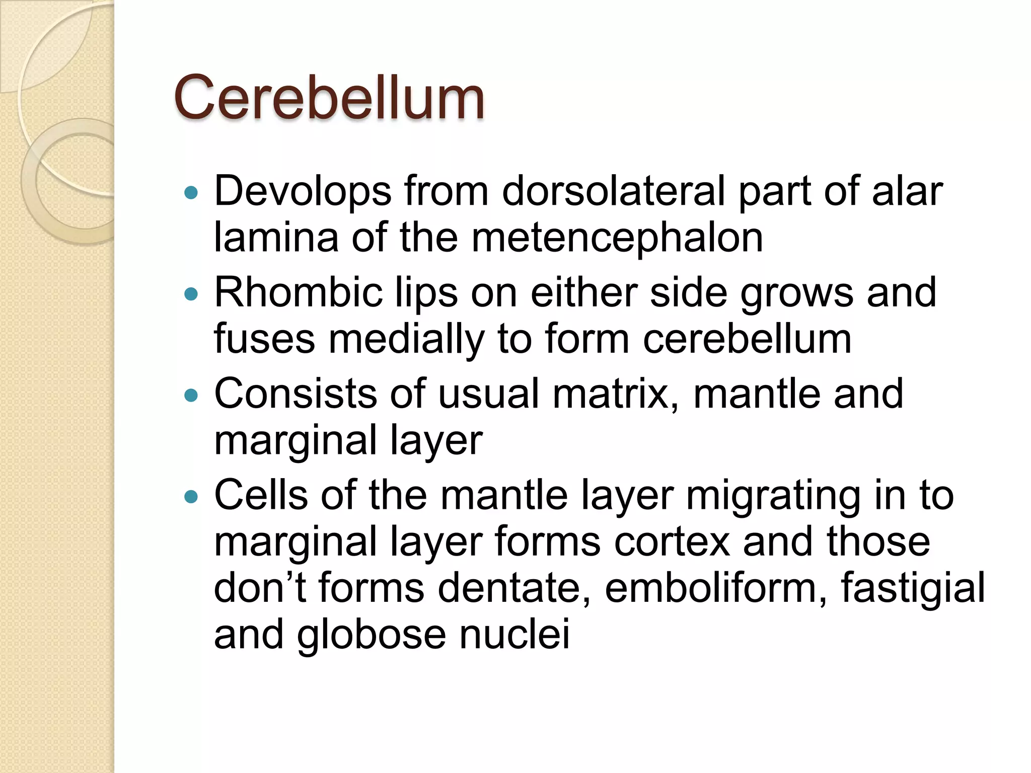 Cerebellum
 Devolops from dorsolateral part of alar
  lamina of the metencephalon
 Rhombic lips on either side grows and
  fuses medially to form cerebellum
 Consists of usual matrix, mantle and
  marginal layer
 Cells of the mantle layer migrating in to
  marginal layer forms cortex and those
  don’t forms dentate, emboliform, fastigial
  and globose nuclei
 