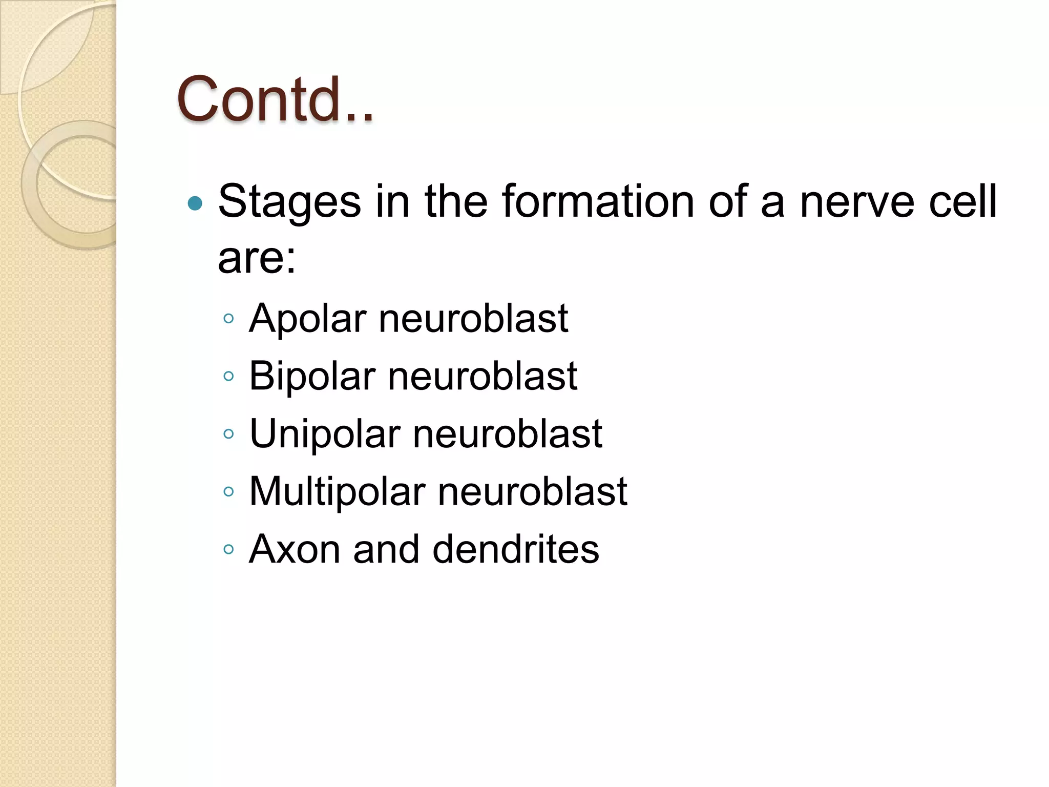 Contd..
   Stages in the formation of a nerve cell
    are:
    ◦   Apolar neuroblast
    ◦   Bipolar neuroblast
    ◦   Unipolar neuroblast
    ◦   Multipolar neuroblast
    ◦   Axon and dendrites
 