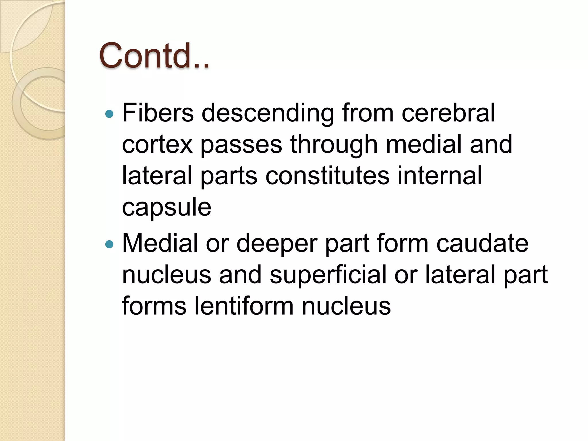Contd..
 Fibers descending from cerebral
  cortex passes through medial and
  lateral parts constitutes internal
  capsule
 Medial or deeper part form caudate
  nucleus and superficial or lateral part
  forms lentiform nucleus
 