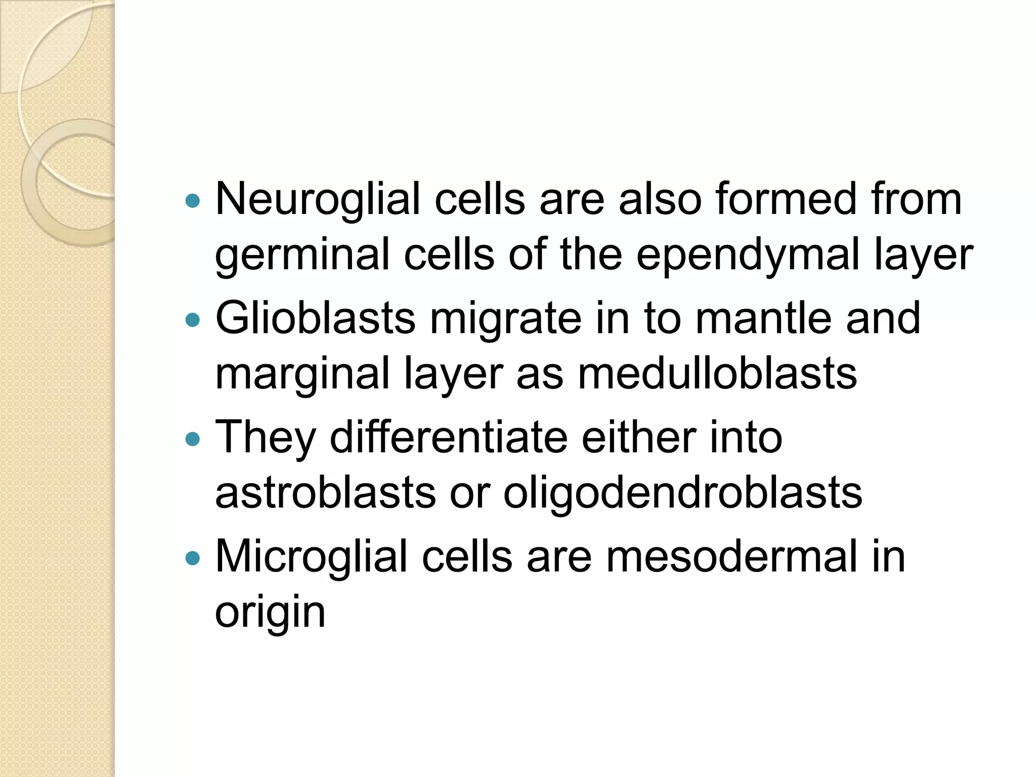  Neuroglial cells are also formed from
  germinal cells of the ependymal layer
 Glioblasts migrate in to mantle and
  marginal layer as medulloblasts
 They differentiate either into
  astroblasts or oligodendroblasts
 Microglial cells are mesodermal in
  origin
 