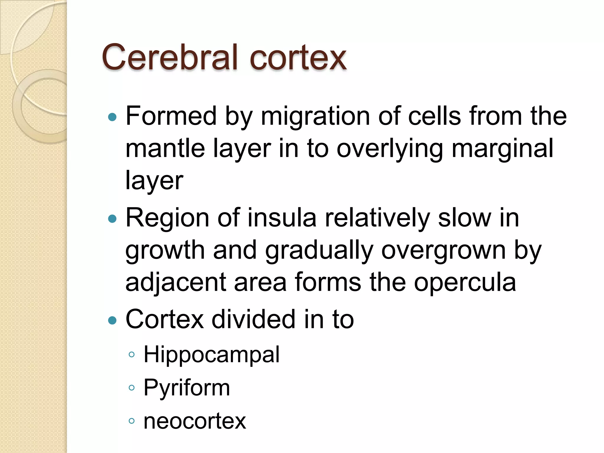 Cerebral cortex
 Formed by migration of cells from the
  mantle layer in to overlying marginal
  layer
 Region of insula relatively slow in
  growth and gradually overgrown by
  adjacent area forms the opercula
 Cortex divided in to
    ◦ Hippocampal
    ◦ Pyriform
    ◦ neocortex
 