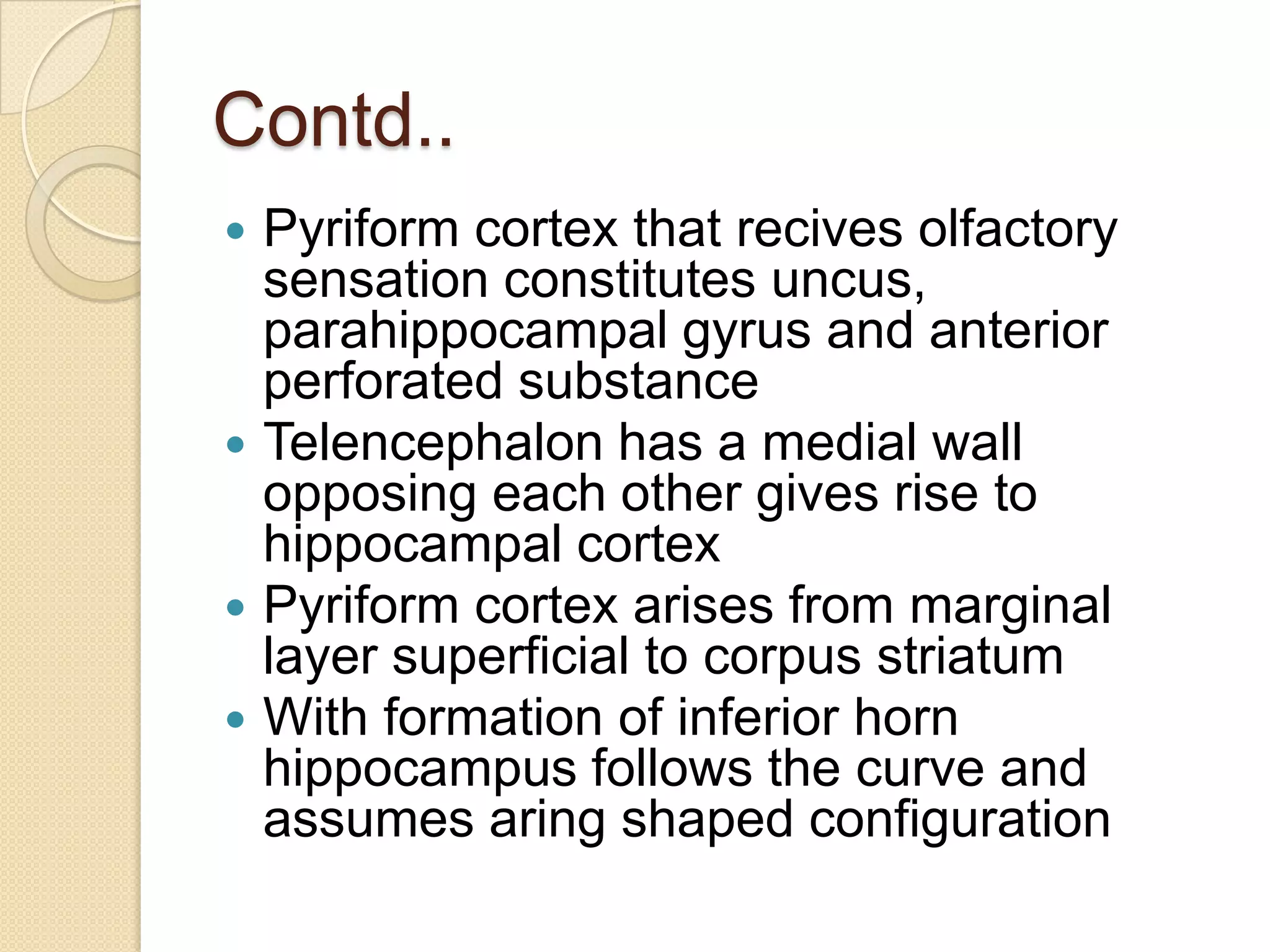 Contd..
 Pyriform cortex that recives olfactory
  sensation constitutes uncus,
  parahippocampal gyrus and anterior
  perforated substance
 Telencephalon has a medial wall
  opposing each other gives rise to
  hippocampal cortex
 Pyriform cortex arises from marginal
  layer superficial to corpus striatum
 With formation of inferior horn
  hippocampus follows the curve and
  assumes aring shaped configuration
 