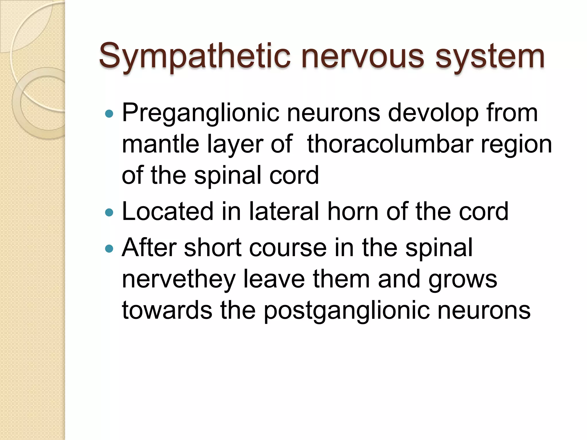 Sympathetic nervous system
 Preganglionic neurons devolop from
  mantle layer of thoracolumbar region
  of the spinal cord
 Located in lateral horn of the cord
 After short course in the spinal
  nervethey leave them and grows
  towards the postganglionic neurons
 
