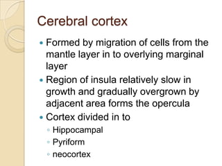 Opercularization Embryology of nervous system | PPTX